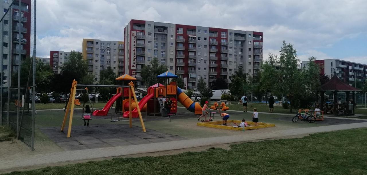 Studio 70 Брашов Экстерьер фото